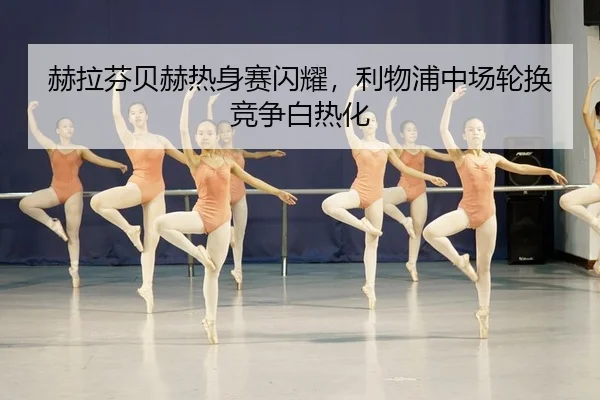 he-la-fen-bei-he-re-shen-sai-shan-yao-li-wu-pu-zhong-chang-lun-huan-jing-zheng-bai-re-hua-3-279.jpg
